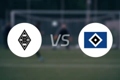 门兴vs汉堡比分预测【2025/08/24】