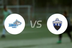 乌尔姆岛vs锡塔夸罗比分预测【2026/03/29】