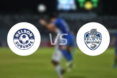 纳尔逊郊区vs塞尔温联合比分预测【2026/04/19】