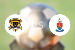 利奥帕德vs比勒陀利亚大学比分预测【2026/04/11】