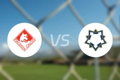 皮亚琴察vs西塔德拉维斯摩德纳比分预测【2026/01/11】