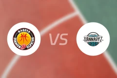 名古屋钻石海豚vs京都创荣比分预测【2024/12/01】