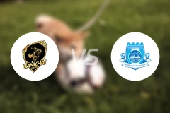 班凯联vs北榄FC比分预测【2024/10/19】