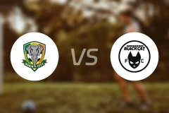 素辇府vs苏拉纳里黑猫比分预测【2025/11/16】