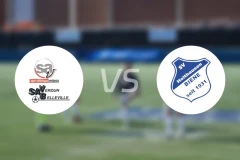 维丹vs霍尔特豪森蜜蜂比分预测【2025/11/23】