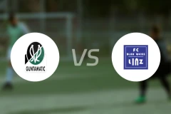 里德vsBW林茨比分结果战报【2025/11/09】