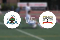 FC协会队vs安纳比分预测【2025/11/15】