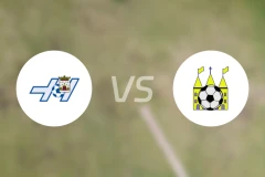 霍赫芬vs史塔夫斯特比分预测【2026/03/08】