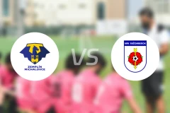 米哈洛夫采vs鲁容贝罗克比分预测【2025/11/23】