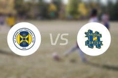 圣阿尔班斯vs哈什塔格联比分预测【2025/12/17】