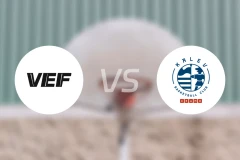 VEF里加vs卡勒夫比分预测【2025/11/23】