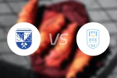 施瓦兹vs比史弗斯霍芬比分预测【2025/11/01】