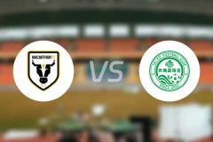 麦克阿瑟FCvs大埔比分预测【2025/11/27】
