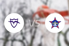 马尔文vs阿雷迪卡比分预测【2026/02/20】