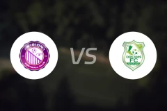 视觉FCvs加纳梦想FC比分预测【2026/01/31】