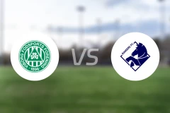 维堡vs兰讷斯比分预测【2025/11/02】