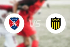 阿尔比恩vs佩纳罗尔比分预测【2026/03/15】