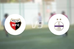 佩奇女足vs新佩斯女足比分预测【2025/11/22】