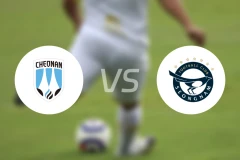 天安城vs城南FC比分结果战报【2025/11/08】