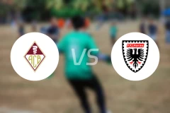 贝林佐纳vs阿劳比分结果战报【2025/11/09】