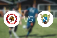 圣伊格纳西奥vs阿勒刹巴勒塔比分预测【2026/03/22】