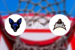 詹姆斯敦豺狼vs纽芬兰流氓比分预测【2026/02/17】