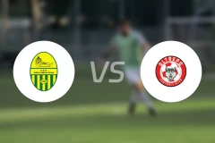 阿斯德卡尔迪罗vs奥尔特普罗比分预测【2026/03/01】