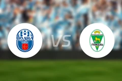 沃尔纳平斯克vs高美尔B队比分预测【2025/11/01】