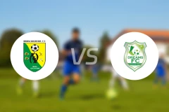 比比亚尼金星vs加纳梦想FC比分预测【2025/12/28】