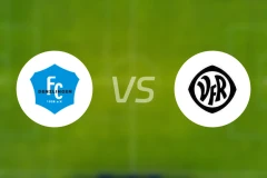 登兹林根vs阿伦比分预测【2025/11/22】