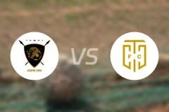 勒鲁莫狮子vs开普敦城比分预测【2026/03/01】