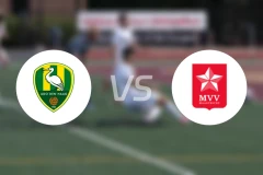 海牙vs马斯特里赫特比分预测【2026/02/14】