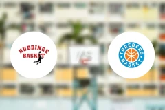 哈丁格vs特瑞堡比分预测【2026/02/16】