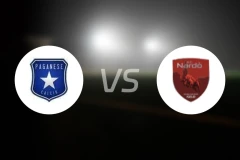 佩格尼斯vs纳尔多比分预测【2026/01/04】