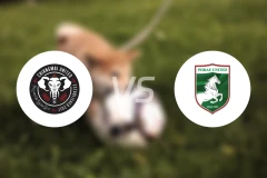 清迈联vs帕府联合比分预测【2026/01/25】