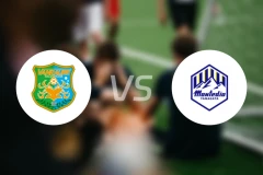 八户于南乡vs山形山神比分预测【2026/04/05】