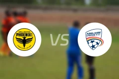 惠灵顿凤凰vs阿德莱德联比分预测【2025/11/29】