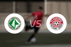 阿维利诺vs南蒂罗尔比分预测【2026/03/19】