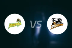 侯华拉vs利马帕比分预测【2026/02/20】