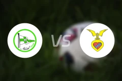 纳瓦尔vs塞尔纳谢比分预测【2026/04/18】