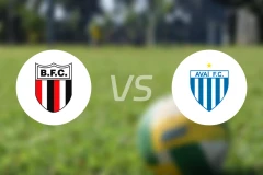 博塔弗戈SPvs阿瓦伊比分预测【2025/11/24】