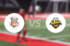 阿特萨诺斯梅特佩克vs胡安纳卡特兰比分预测【2026/04/05】