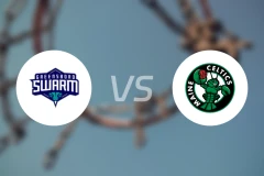 格林斯伯勒蜂群vs缅因凯尔特人比分预测【2026/01/24】