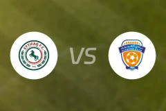 达曼协作vs费哈比分预测【2025/11/22】