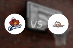 兰达斯vs哥本哈根狼队比分预测【2026/01/04】