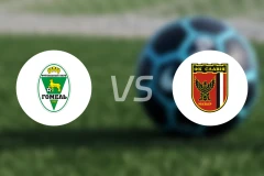 戈梅利vs斯拉维亚莫兹里比分预测【2026/04/19】