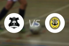 弗洛格拉德vs贝拉马尔比分预测【2026/03/15】