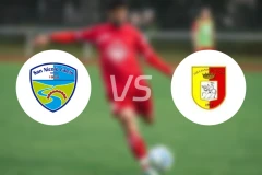 圣尼科洛vs朱利亚诺瓦比分预测【2026/02/01】