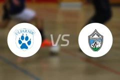 乌尔法尼尔vs夏威拉格地比分预测【2026/03/11】