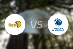 谢菲尔德vs喀里多尼亚角斗士比分预测【2025/12/15】